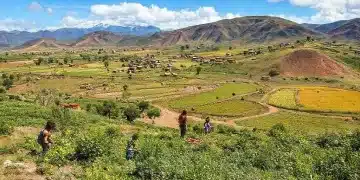 Hábitos de vida sustentável y ecológica en Chile